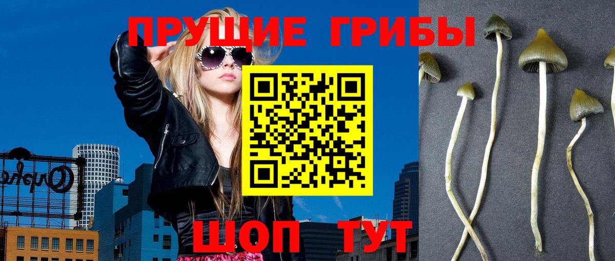 Галлюциногенные грибы ЛСД  Вход с VPN  Мариинск 